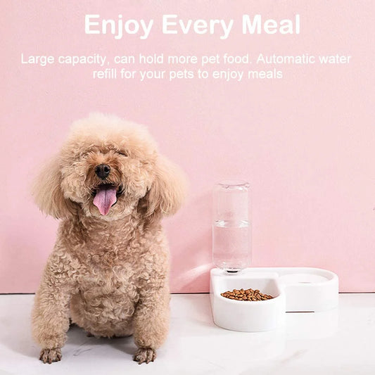 Pet Bowl Puppy Home Automatic Water Dispenser Cats Dogs Easy Clean PP Food Dish